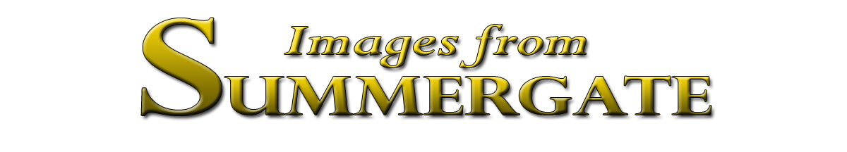 Images from Summergate